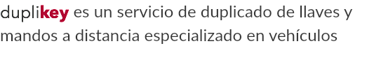 duplikey es un servicio de duplicado de llaves y mandos a distancia especializado en vehículos